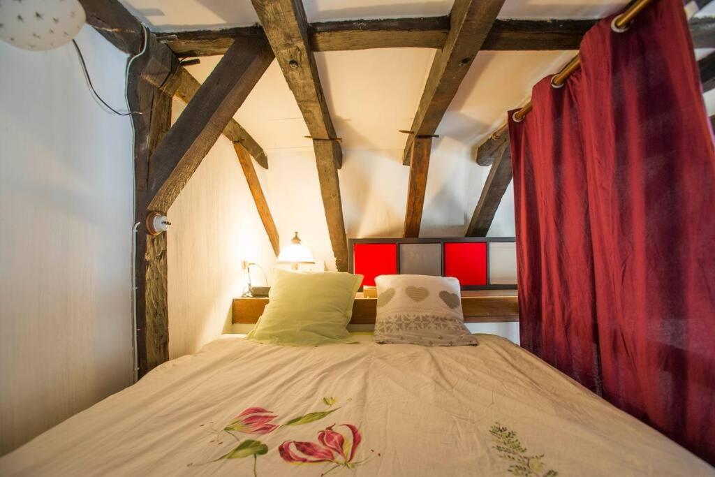 Appartement De Caractere Au Coeur Du Vieux Tours Zewnętrze zdjęcie